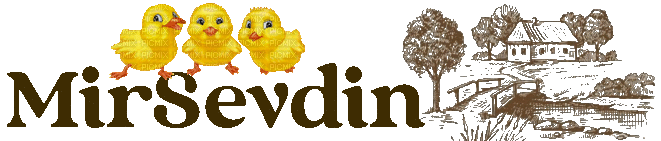 M�RSEVD�N