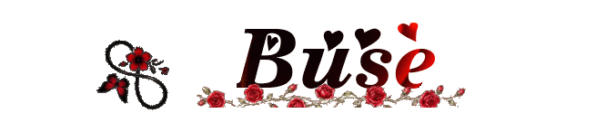 BuSe